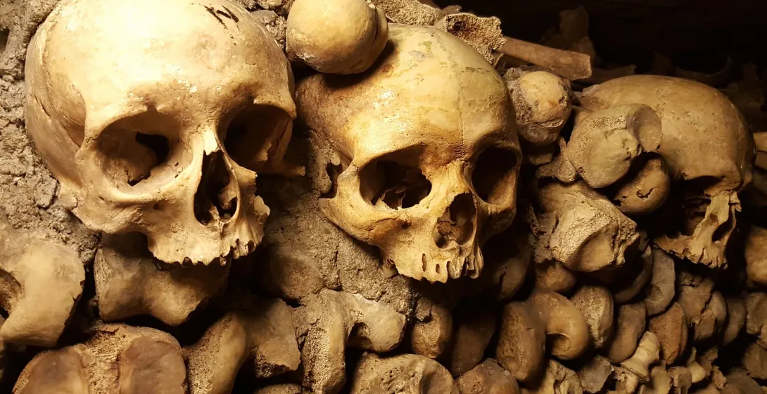 Close-up of skulls and bones in the Paris Catacombs.
