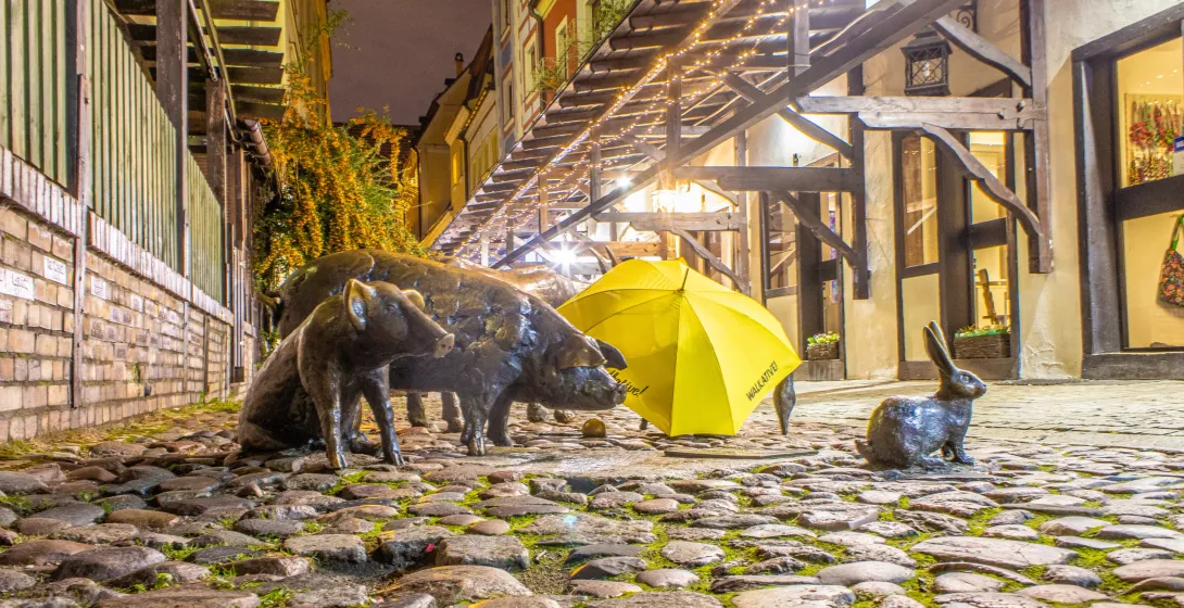 Bronze pig and rabbit sculptures on a charming cobblestone street in Wroclaw at night.