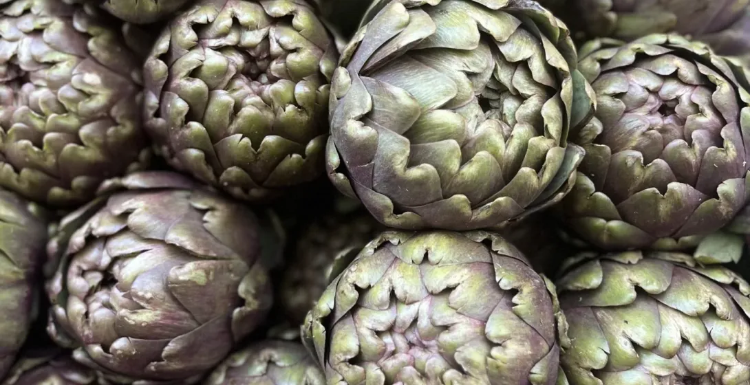 Close-up of fresh artichokes.