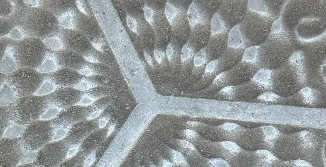 Close-up of a grey decorative hexagonal street tile with organic patterns, scales, and dots.