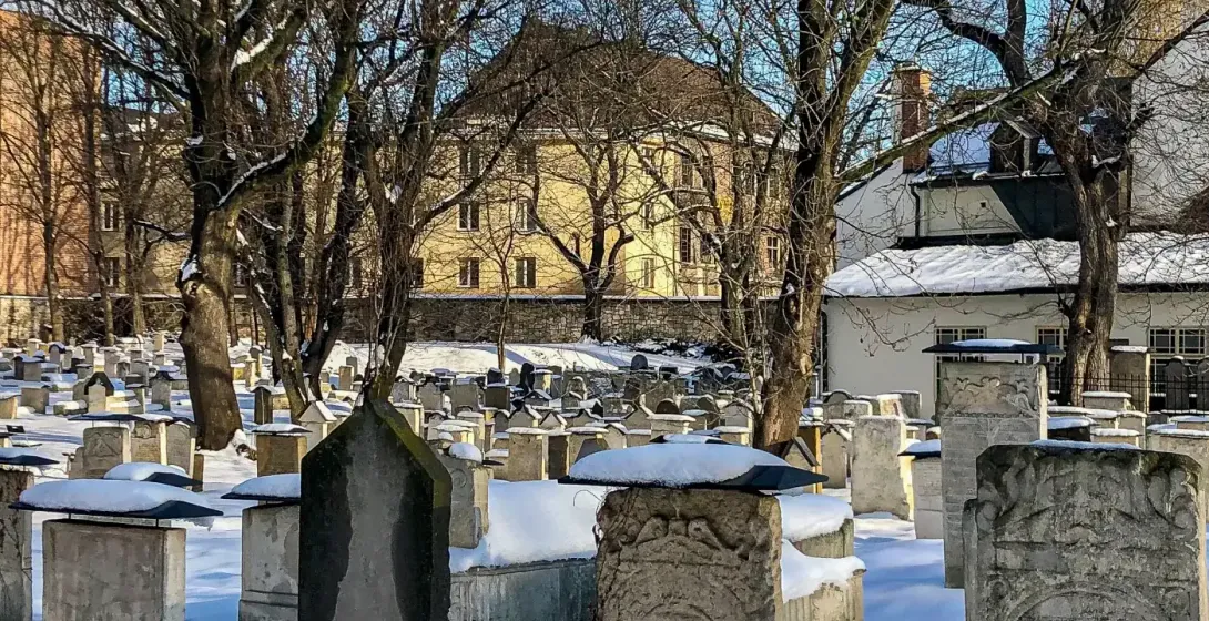Rows of snow-covered old gravestones and bare trees in a historic Jewish cemetery in Krakow, with buildings in the backgro...