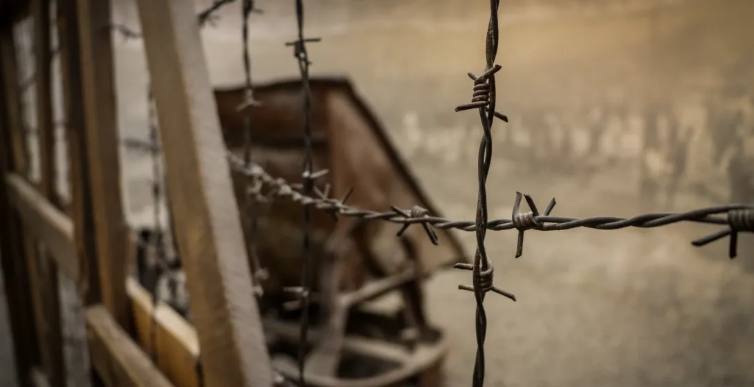 Barbed wire in the foreground, with blurred wooden structures and a historical exhibit visible in the background, likely f...
