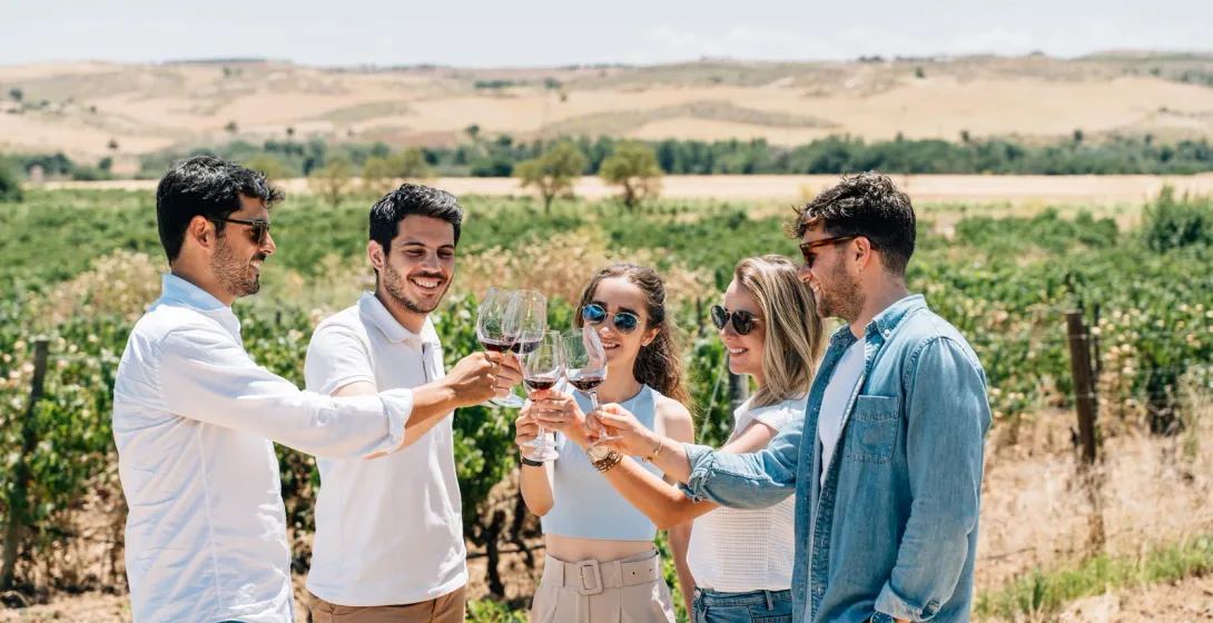 A group of friends toasts with glasses of red wine in a sunny vineyard near Madrid.
