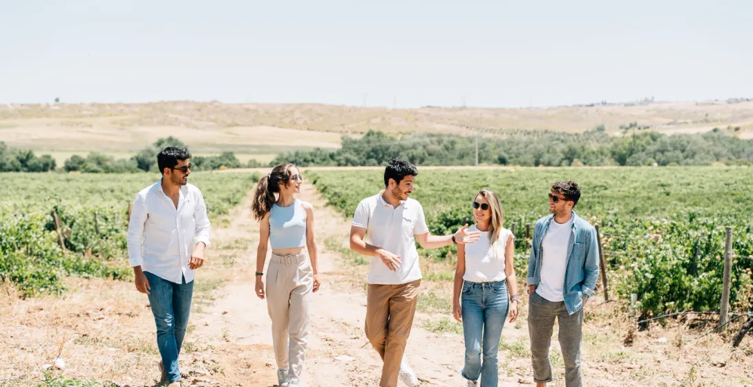 A group of five young people walk along a dirt path through a sunny vineyard in the countryside.