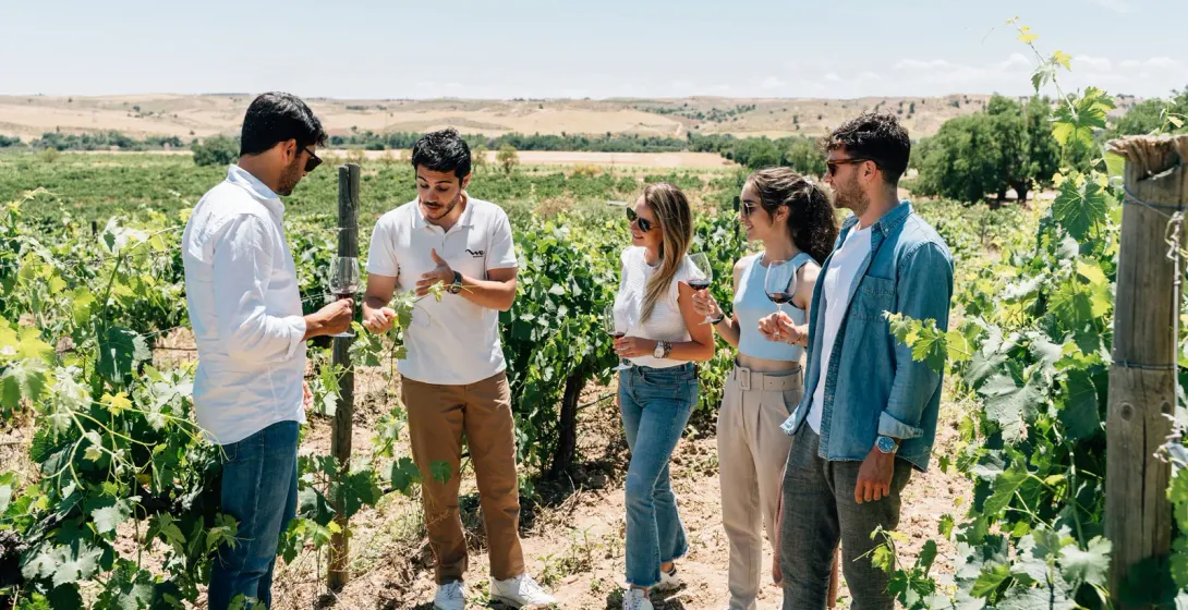 A group of people on a wine tour, standing among the vines in a sunny vineyard, listening to a guide.