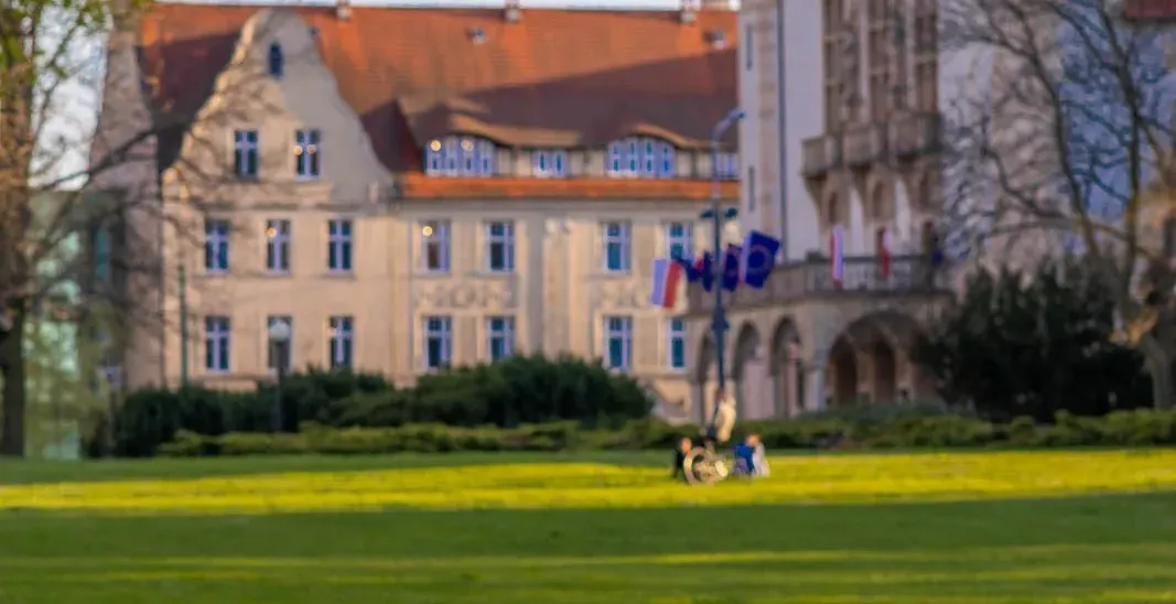 Collegium Minus building with a red roof and turrets, a green lawn with purple and white tulips in the foreground.