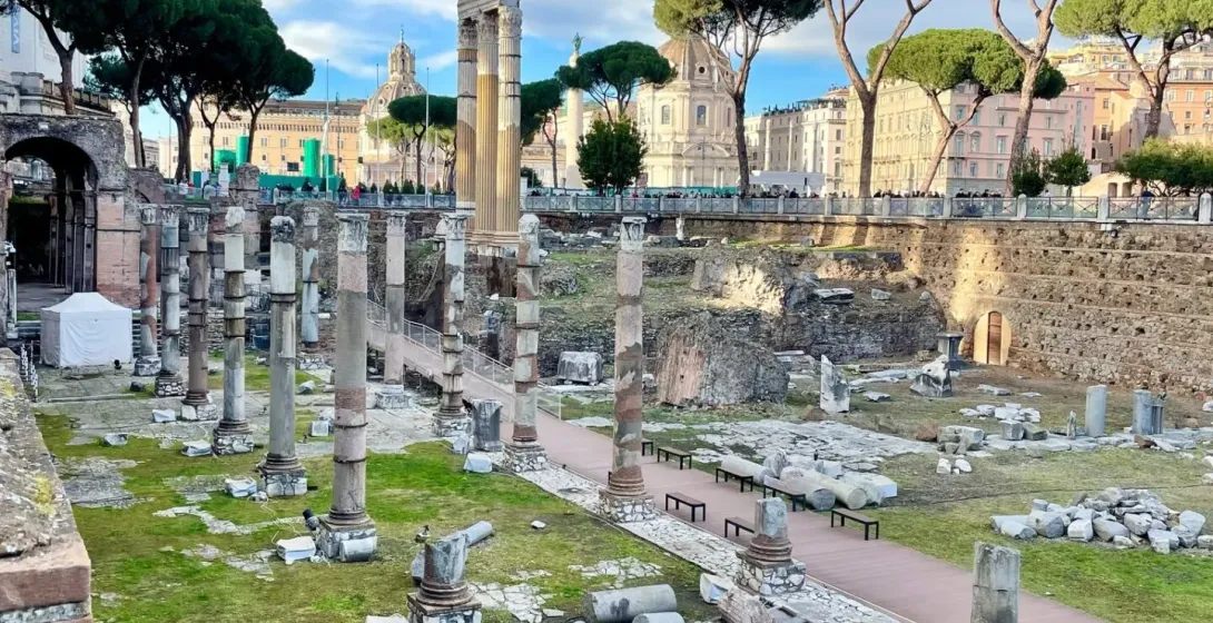 Archaeological site in Rome with numerous ancient stone columns and fragments scattered across a grassy area. Pine trees a...