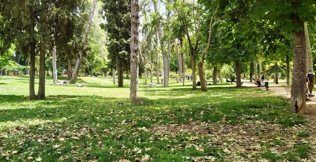 People relaxing in a lush green park.