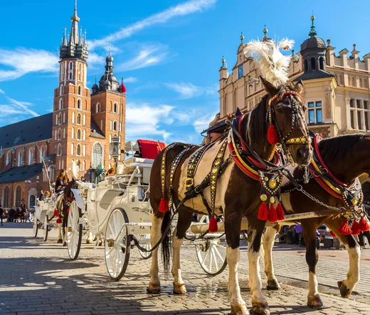 Horse-drawn carriages in Krakow's Main Market Square with St. Mary's Basilica in the background.