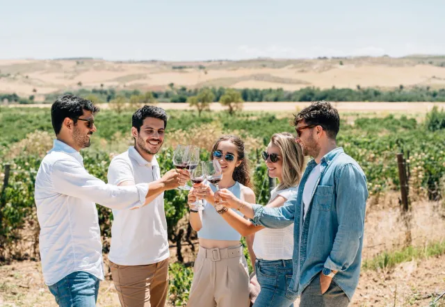 Toledo & Wine Country Experience from Madrid