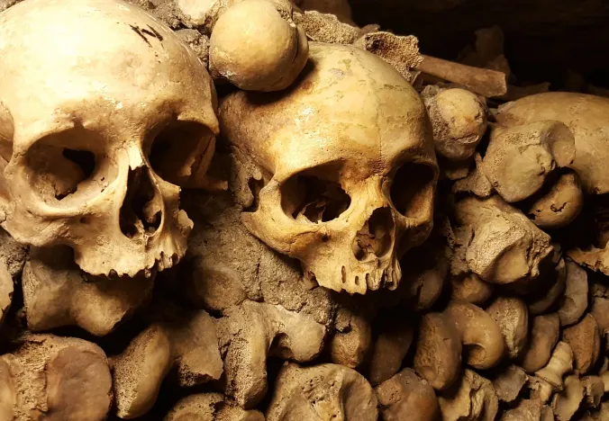 Close-up of skulls and bones in the Paris Catacombs.