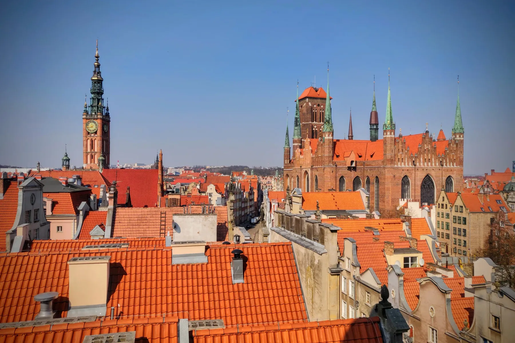Elevated view of Gdansk with the Main Town Hall clock tower and St. Mary's Church among red-tiled rooftops under a clear sky.