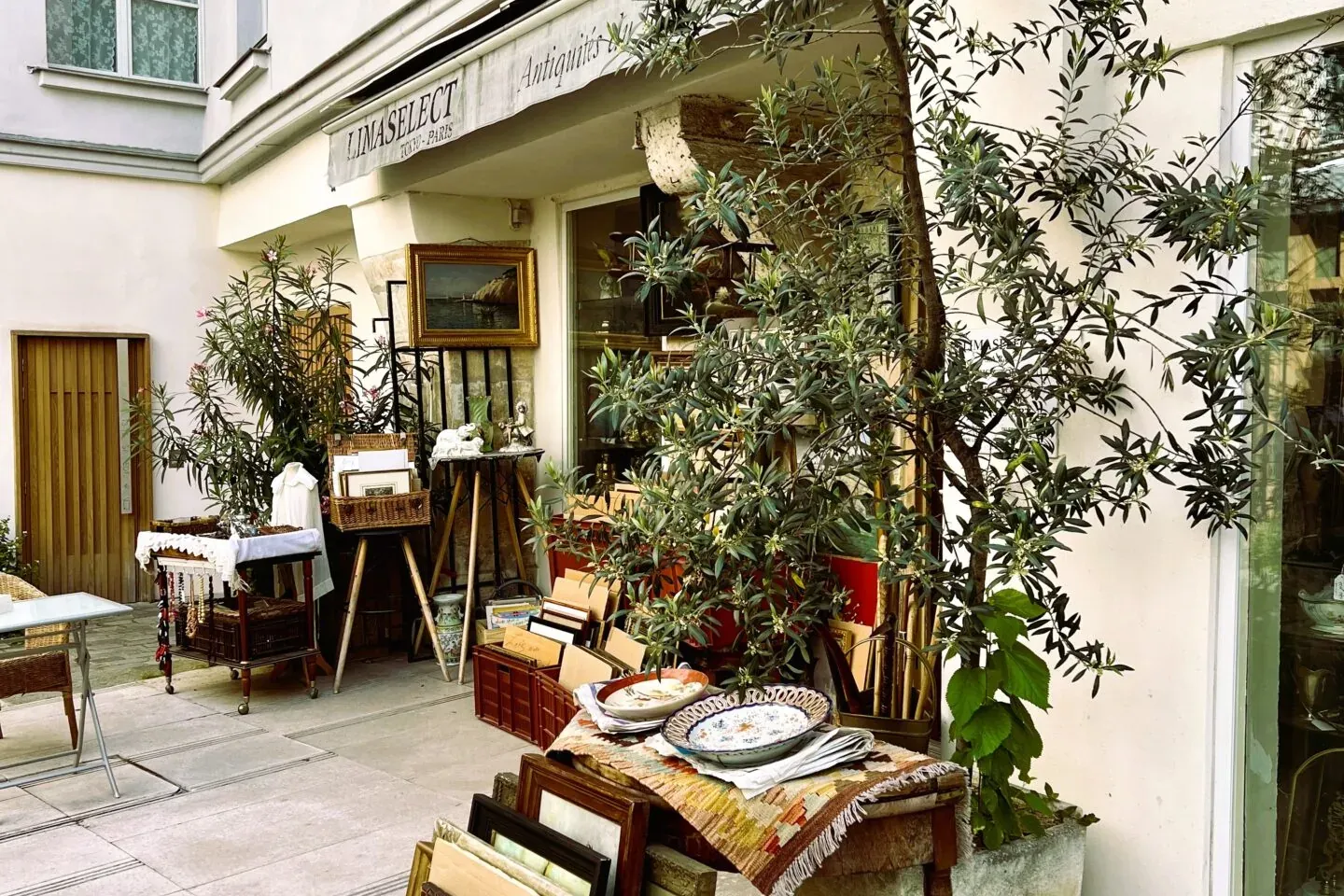 Outdoor display of an antique shop in a Parisian courtyard, with framed paintings, decorative plates, and an olive tree.