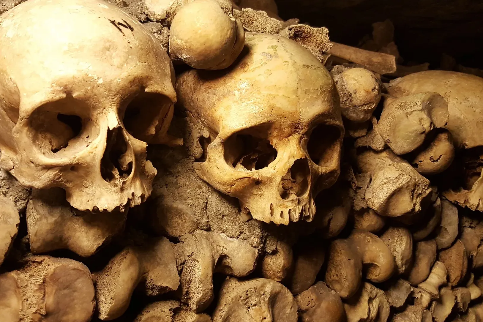 Close-up of human skulls and bones neatly arranged in a wall within a dimly lit underground ossuary.