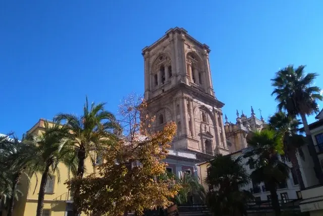 Ornate stone bell tower of a cathedral rising against a clear blue sky, with palm trees and autumn leaves in the foreground.
