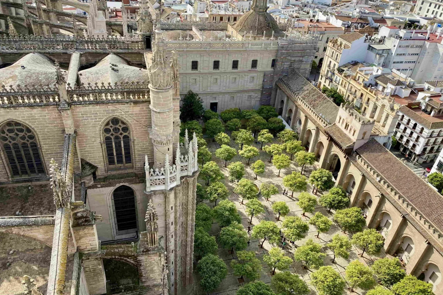 Aerial view of Seville Cathedral's Patio de los Naranjos, with rows of green orange trees and stone arcades under a sunny ...