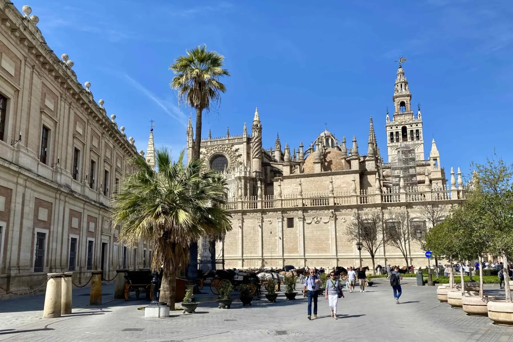 Seville Cathedral and Giralda bell tower with Archivo General de Indias, palm trees, and people in the square.