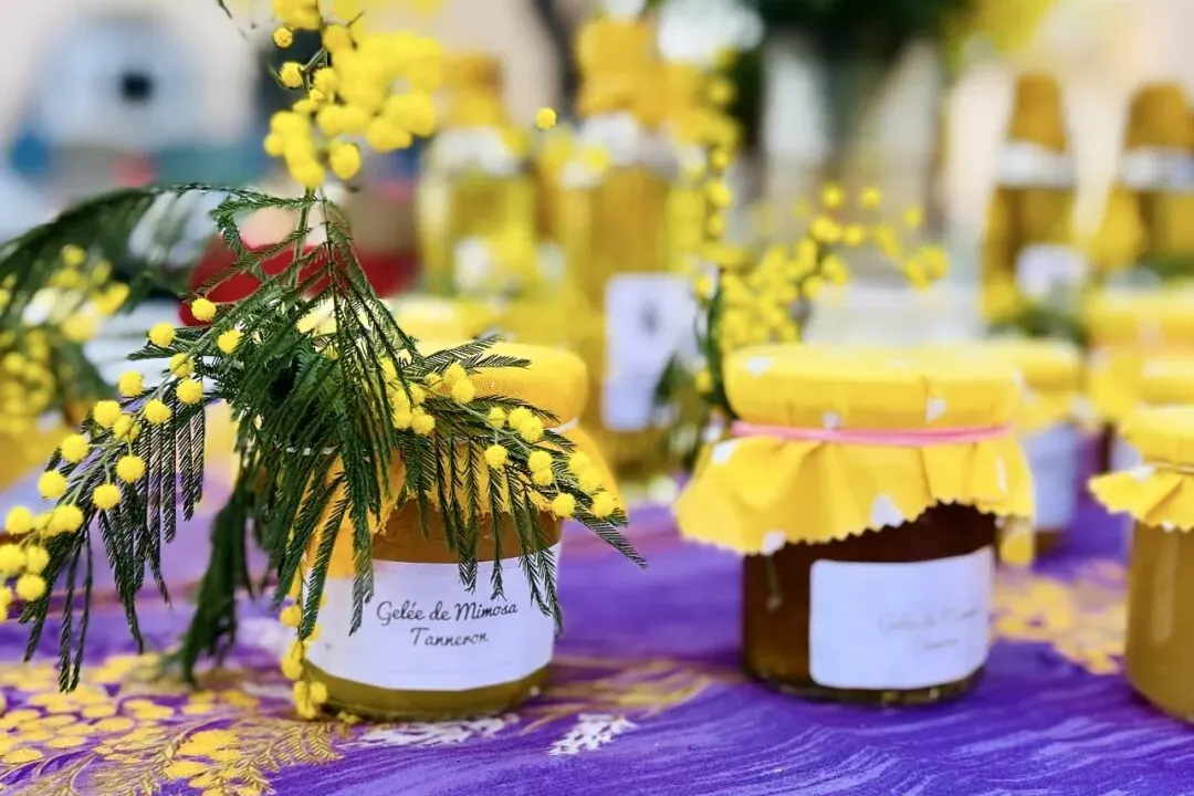 Jars of mimosa jelly labeled 'Gelée de Mimosa Tanneron' and fresh mimosa flowers on a purple patterned tablecloth.