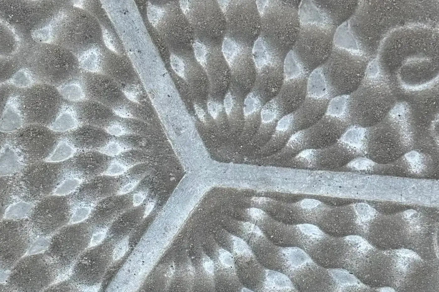 Close-up of a grey decorative hexagonal street tile with organic patterns, scales, and dots.