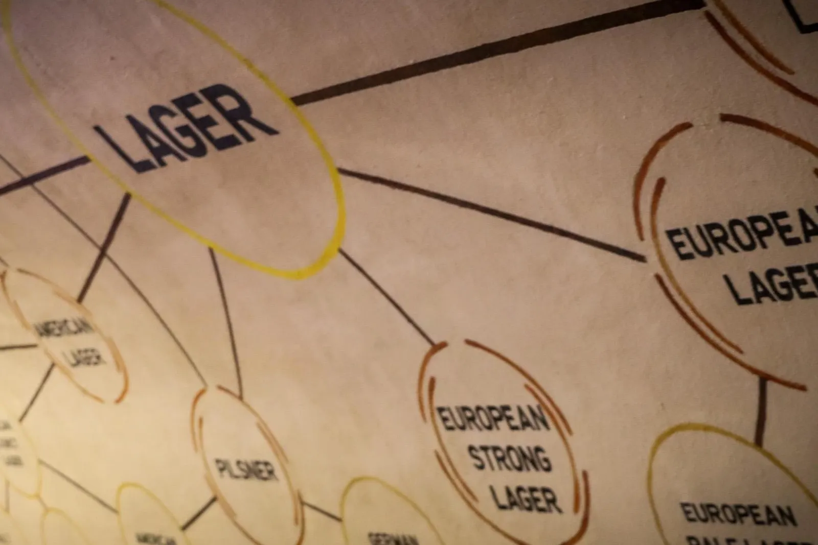 A close-up of a chart showing different types of lager beer, including European and American varieties.