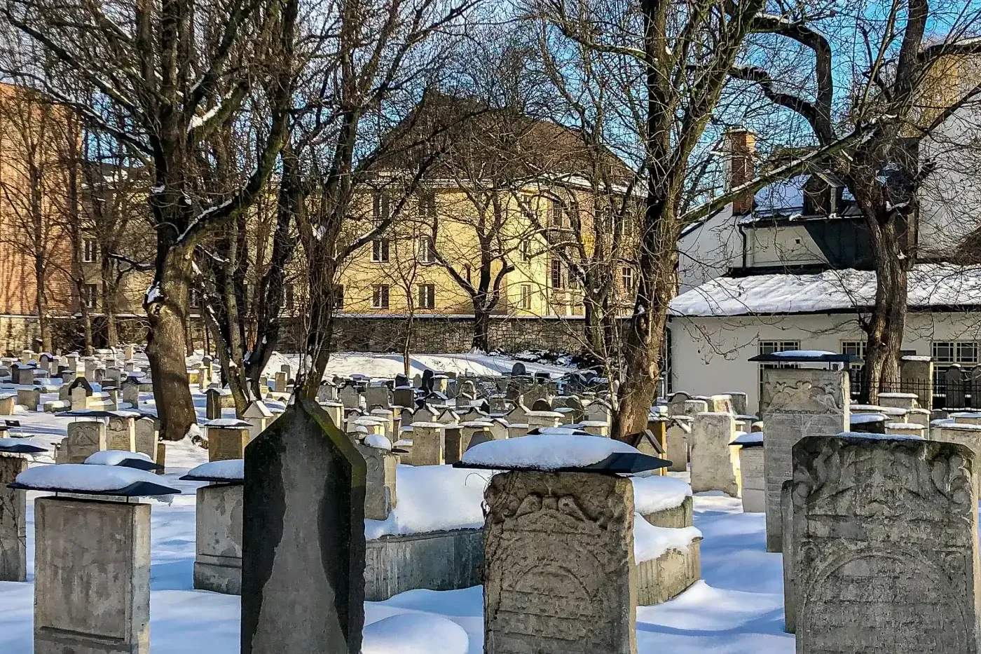 Rows of snow-covered old gravestones and bare trees in a historic Jewish cemetery in Krakow, with buildings in the backgro...