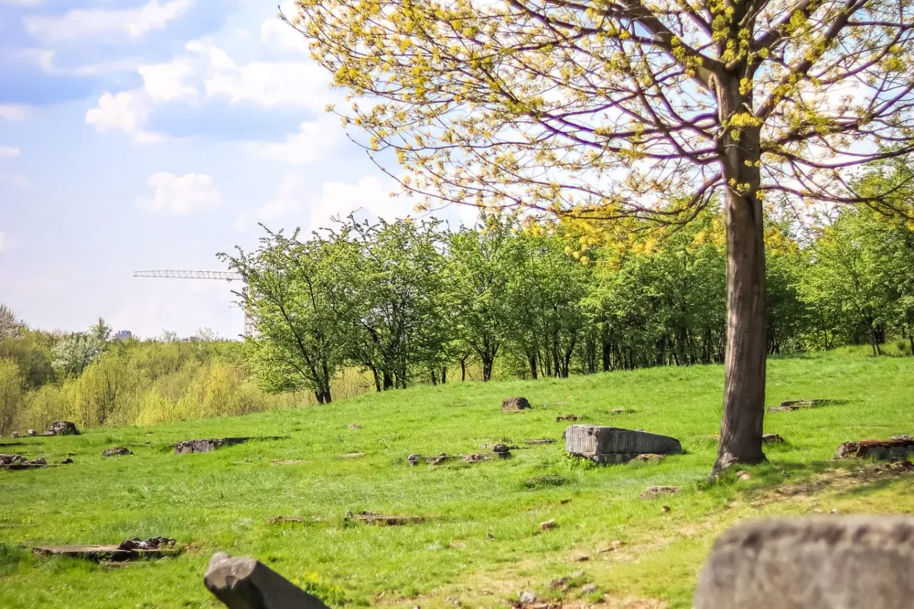 Grassy field with scattered stone remnants and a tree with light green spring leaves under a cloudy blue sky.