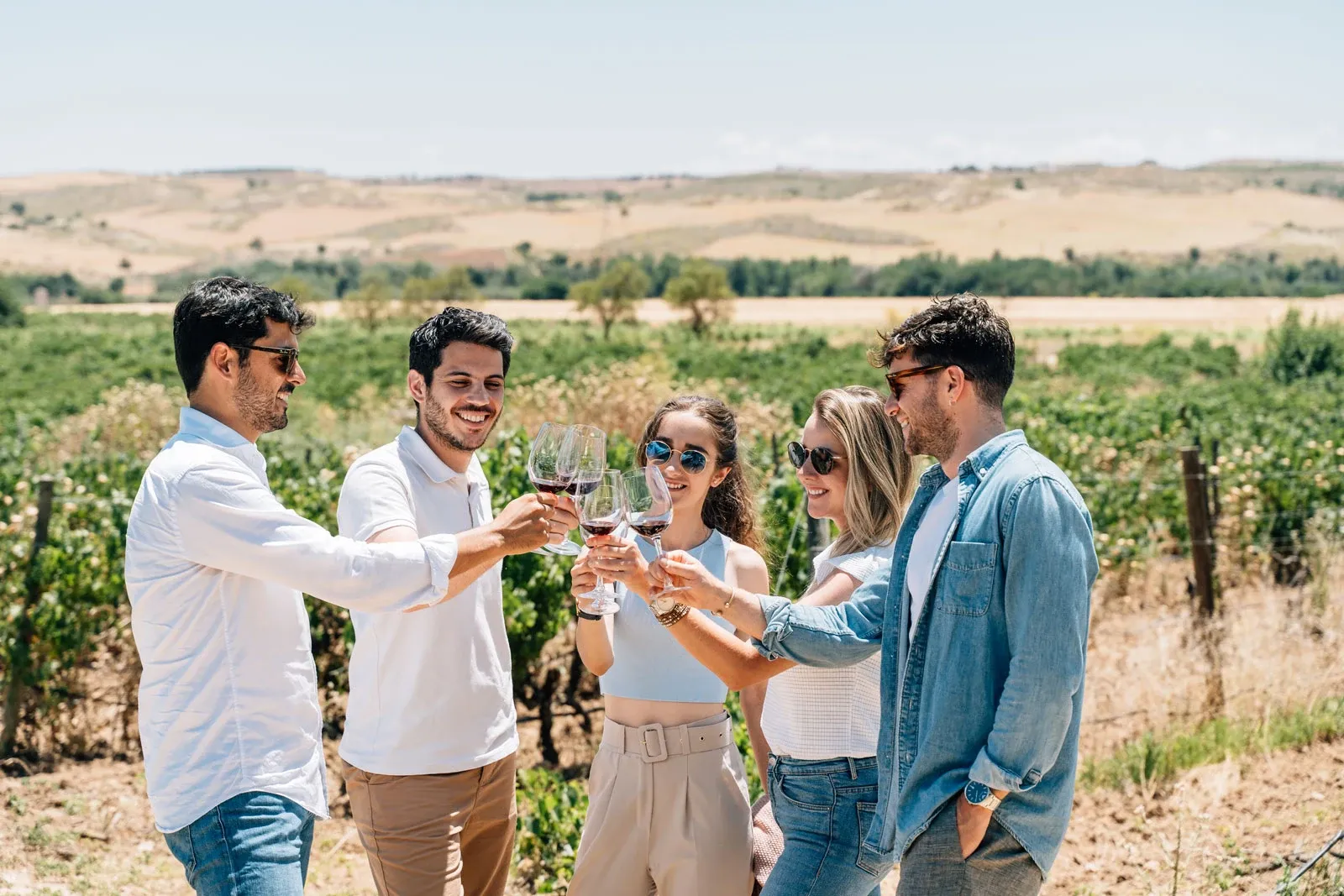 A group of friends toasts with glasses of red wine in a sunny vineyard near Madrid.