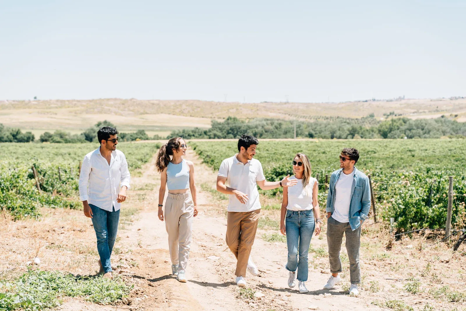 A group of five young people walk along a dirt path through a sunny vineyard in the countryside.