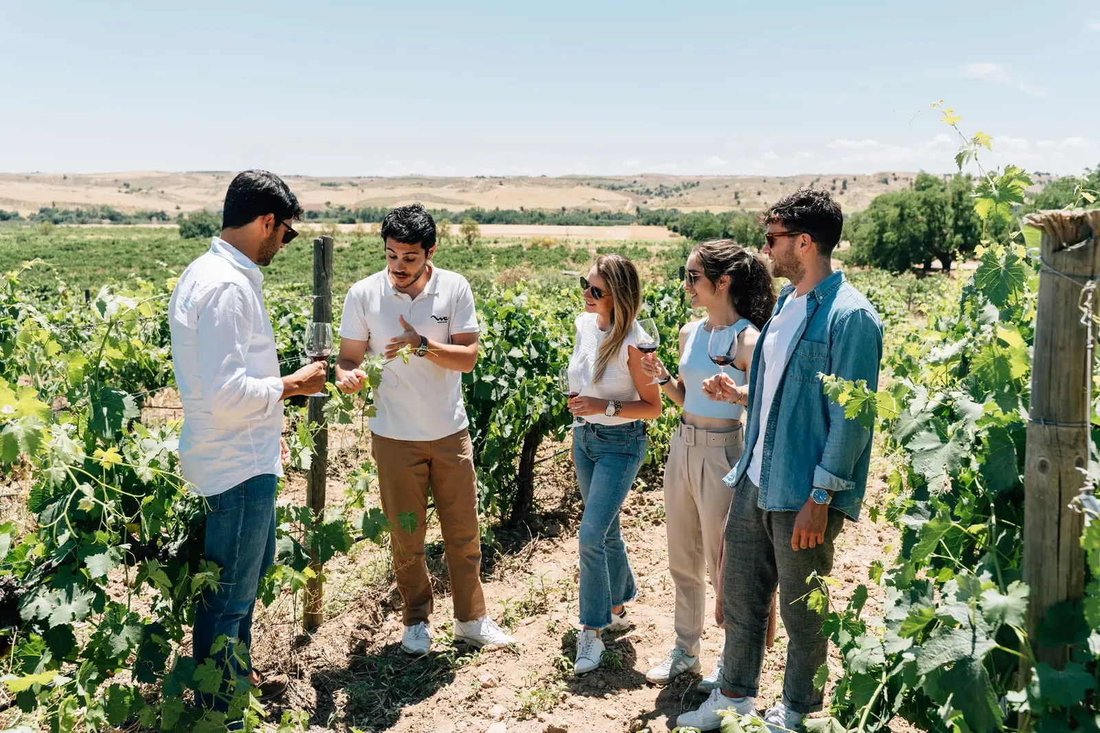 A group of people on a wine tour, standing among the vines in a sunny vineyard, listening to a guide.