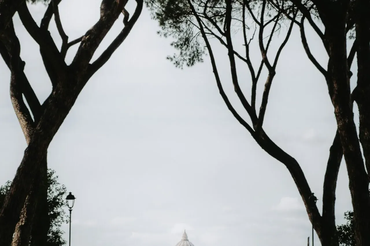 Tourists gathered at a park viewpoint, with tall umbrella pine trees framing a view of St. Peter's Basilica dome in Rome.