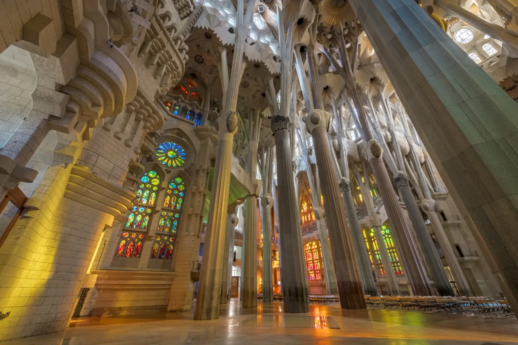 Interior of Sagrada Família with towering columns resembling trees, intricate vaulted ceilings, and colorful stained-glass...