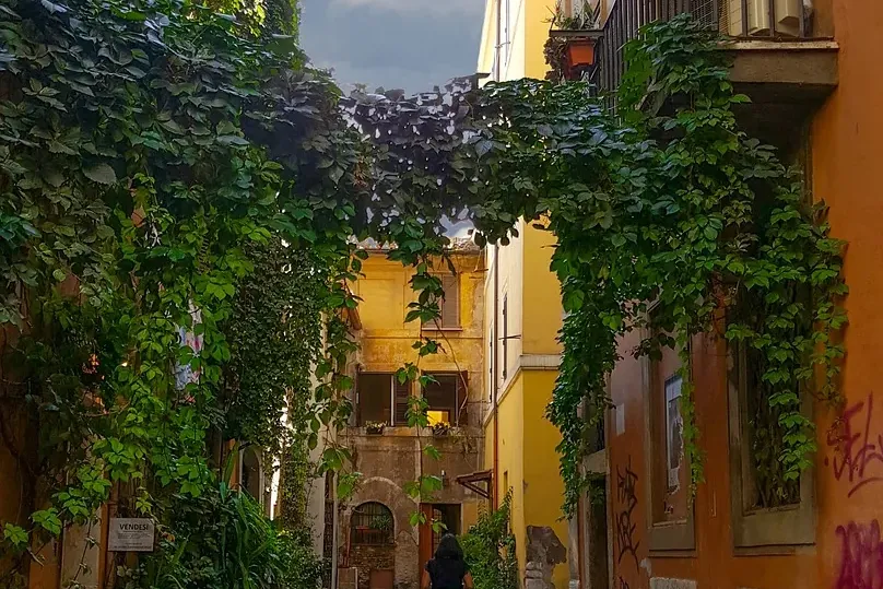 Cobblestone alley in Rome's Trastevere district with ivy-covered walls, historic buildings, and a person walking away.