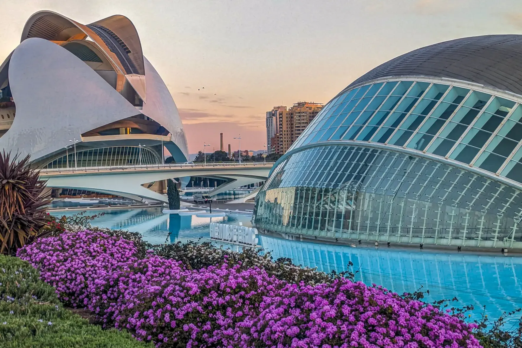 The modern buildings of the City of Arts and Sciences in Valencia at sunset, surrounded by water and flowers.