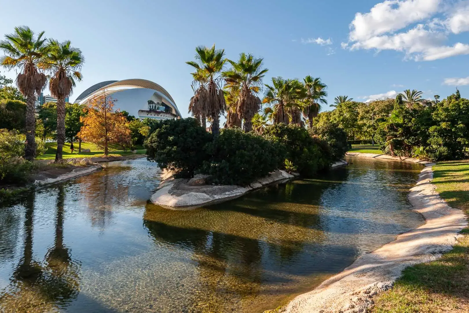 Palm trees and a pond in Valencia’s Turia Gardens, with a modern white building behind