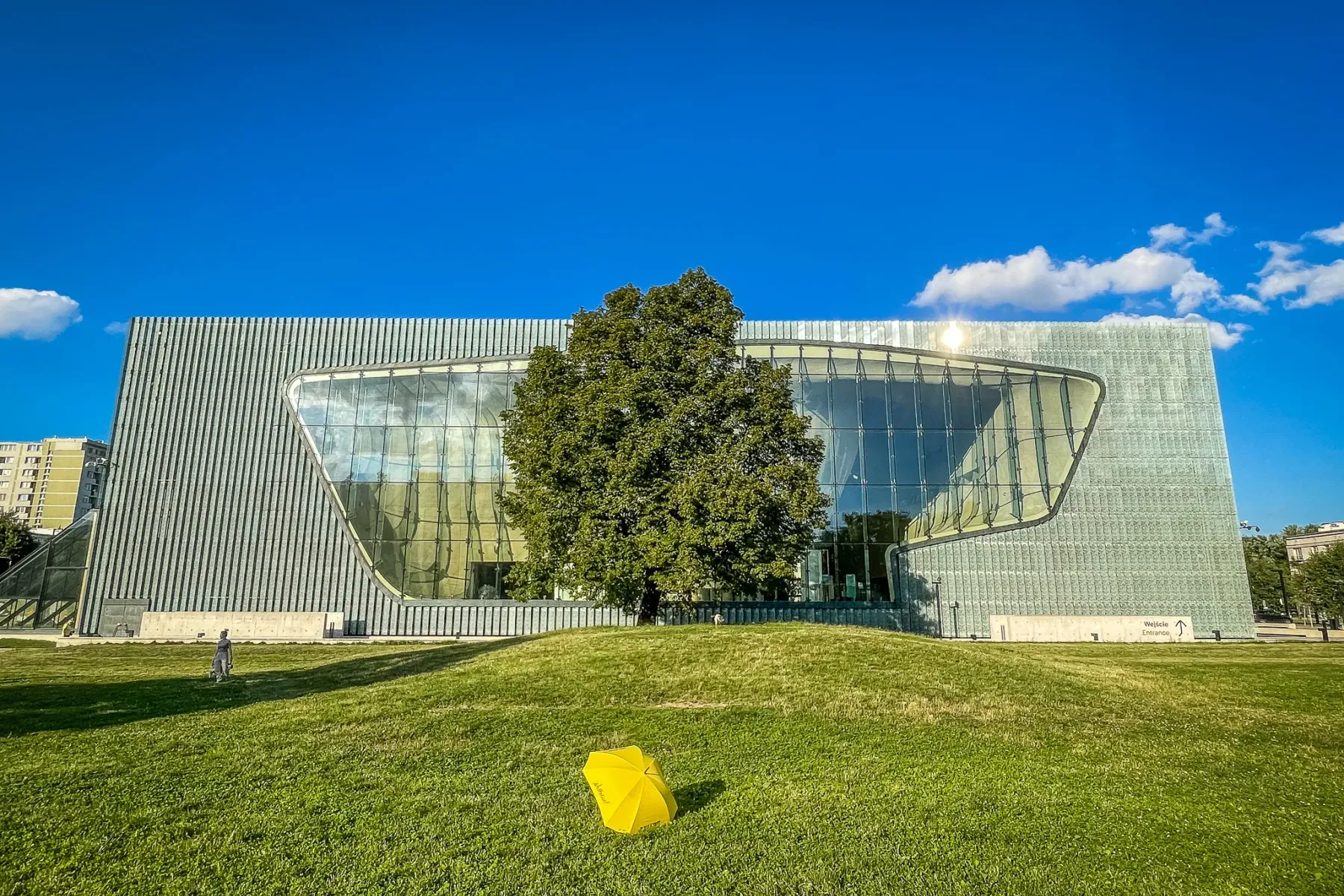 Modern museum building with a wavy glass facade and metal panels, a large green tree, and a yellow umbrella on a grassy mo...
