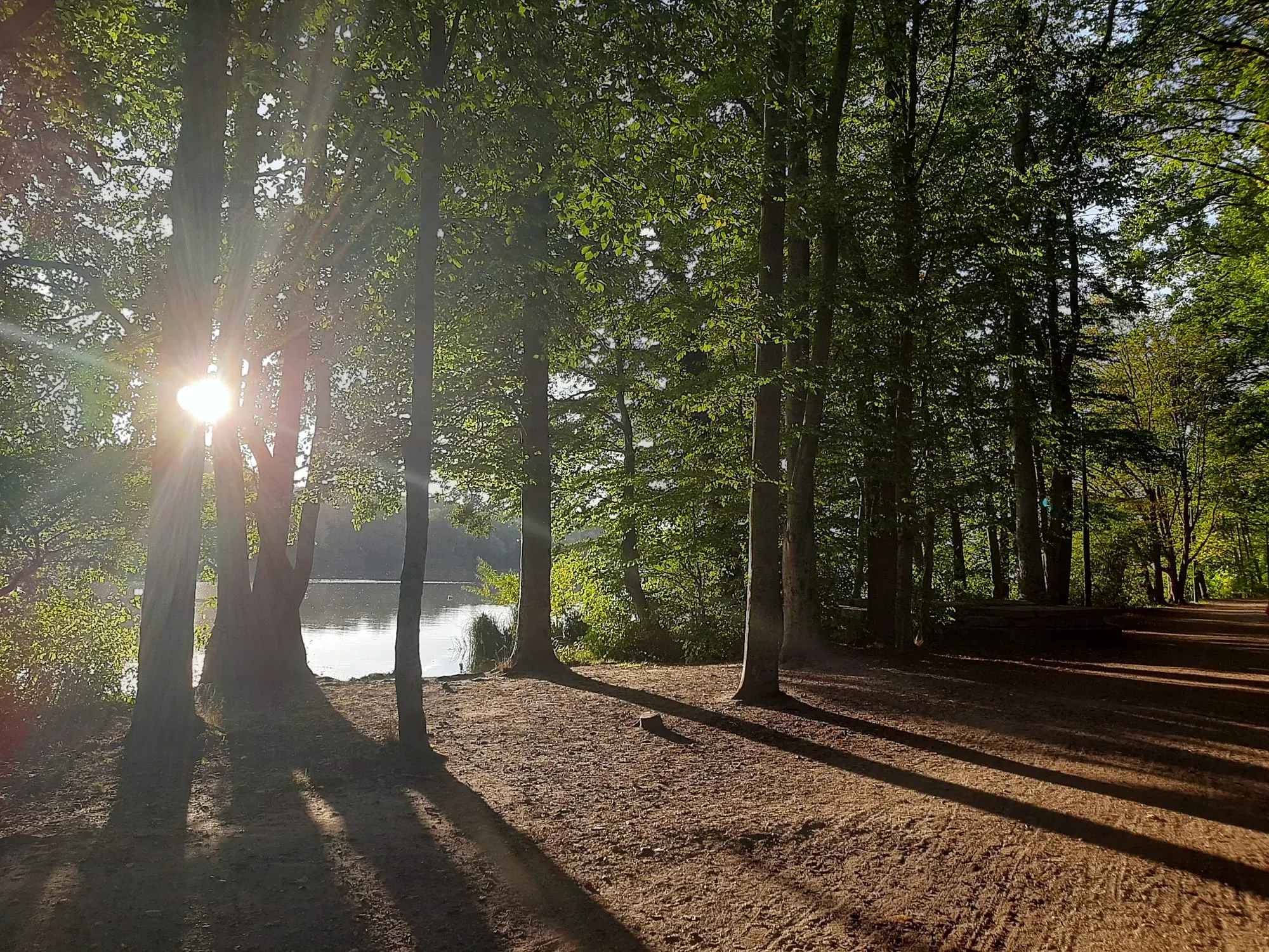 Peaceful lakeside scene in Poznan's green zones.