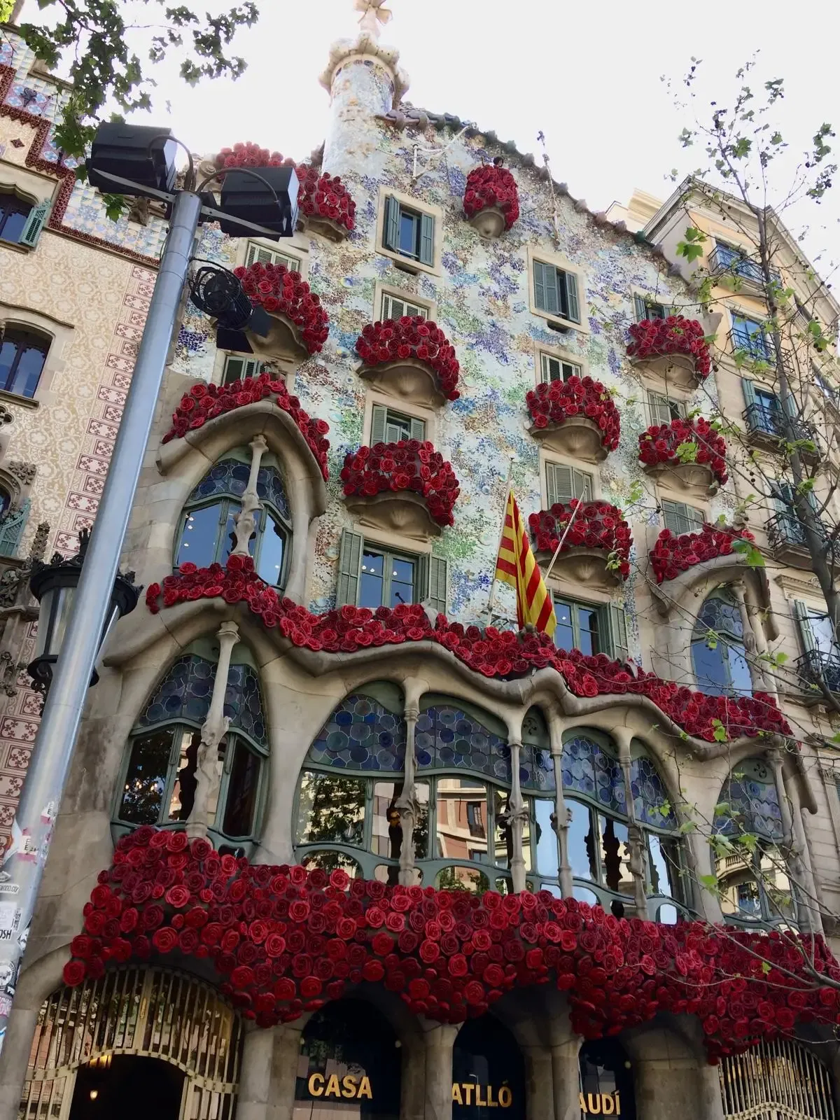 The facade of Casa Batlló in Barcelona adorned with numerous red roses. Gaudi's organic architecture is visible.