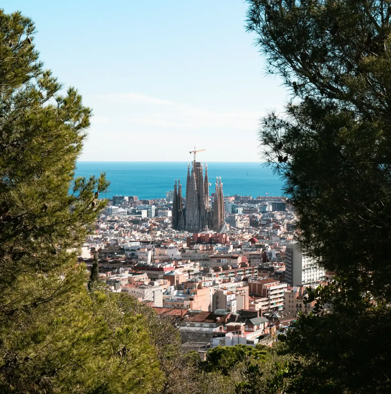 View of the Sagrada Familia and the Barcelona city skyline, with the Mediterranean Sea in the background, framed by trees.