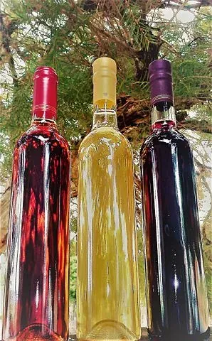 Three bottles of mead, with red, golden, and dark red liquids, standing upright against a blurry green background.
