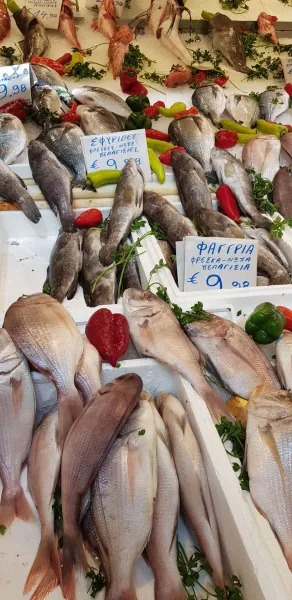 Fresh fish on display at a vibrant Greek market.