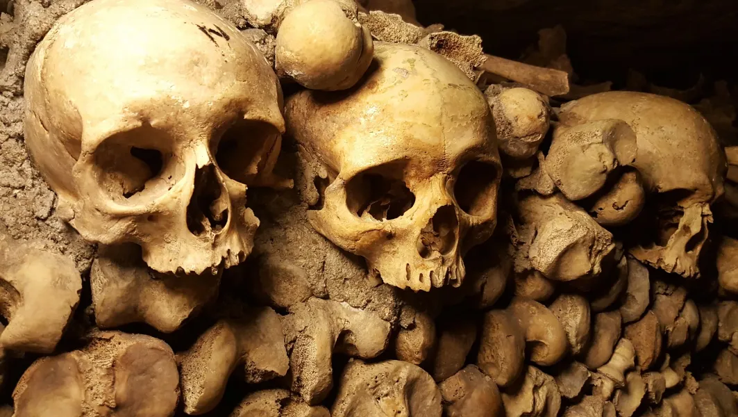 Close-up of skulls and bones in the Paris Catacombs.