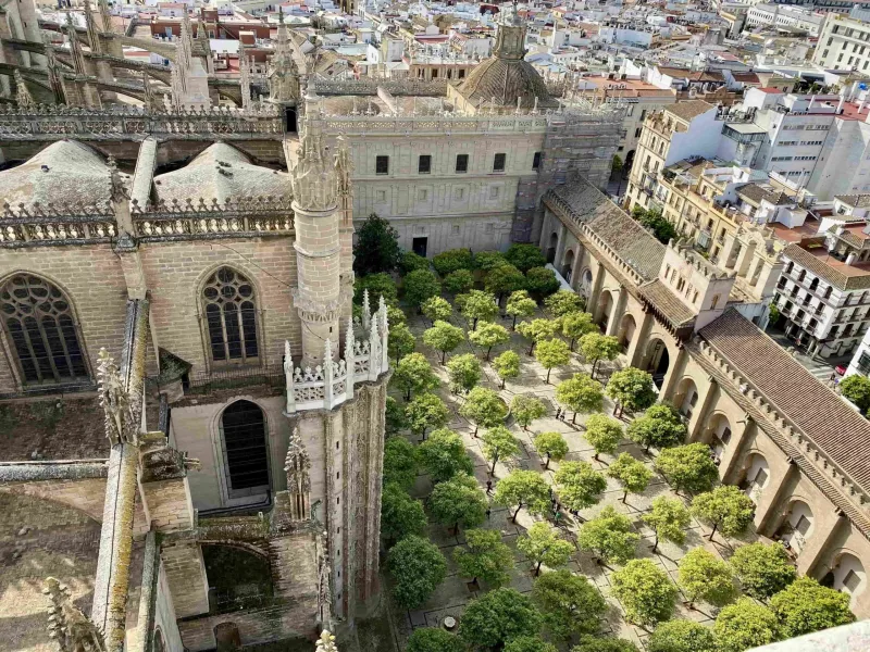 Aerial view of Seville Cathedral's Patio de los Naranjos, a beautiful orange tree courtyard.