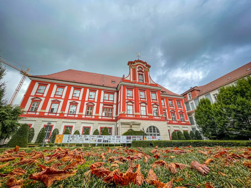 Autumn leaves in front of a beautiful Baroque building in Wrocław, Poland.