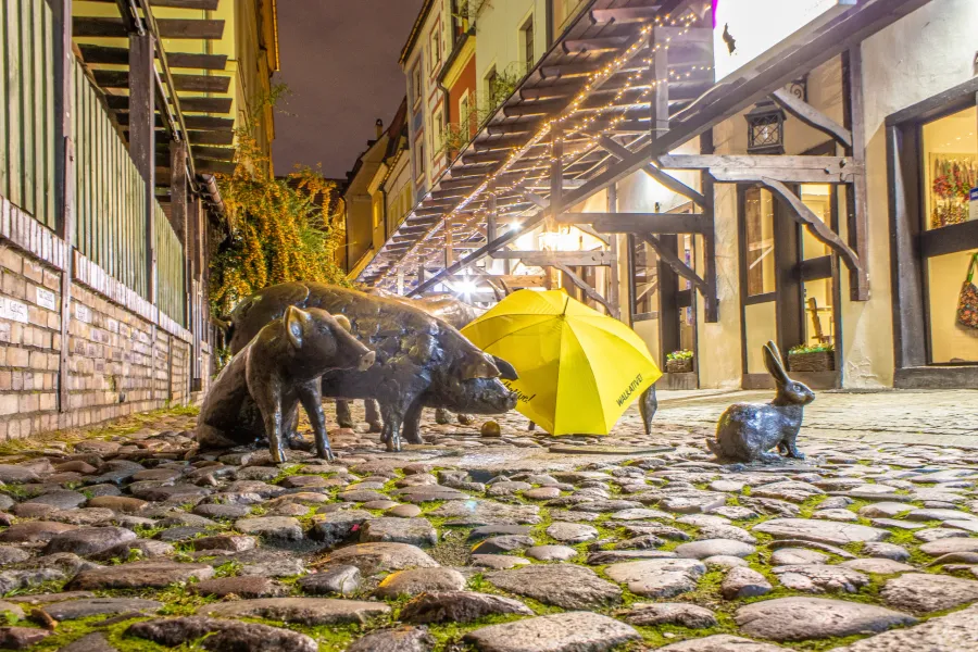 Bronze pig and rabbit sculptures on a charming cobblestone street in Wroclaw at night.