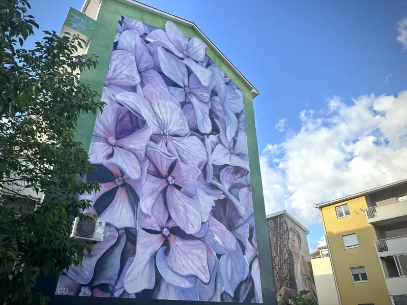 A stunning mural of purple hydrangeas adorns a building in Zagreb, Croatia.