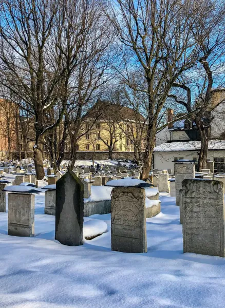 Rows of snow-covered old gravestones and bare trees in a historic Jewish cemetery in Krakow, with buildings in the backgro...