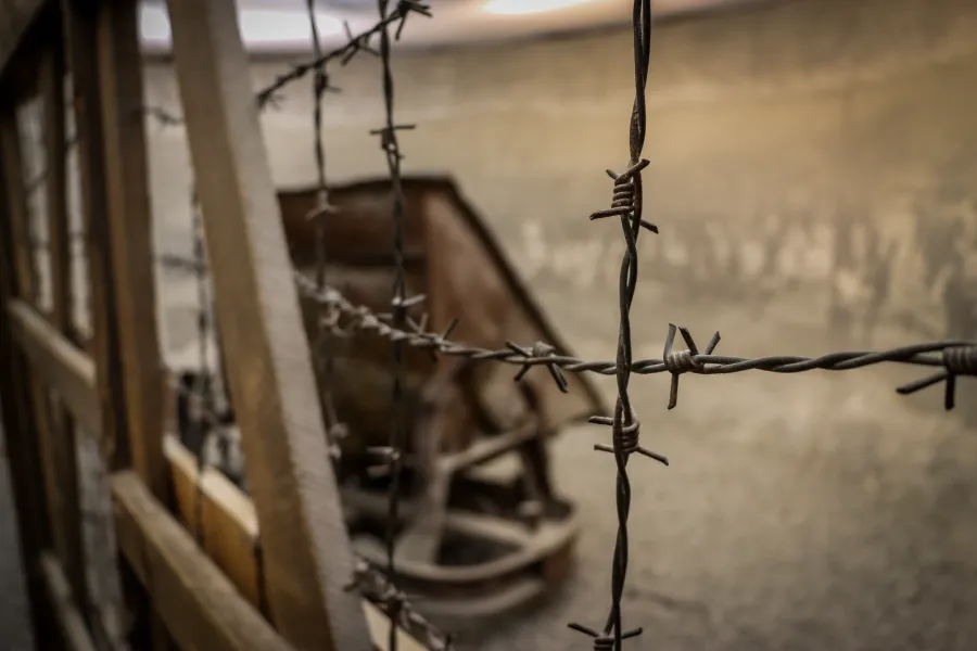 Barbed wire in the foreground, with blurred wooden structures and a historical exhibit visible in the background, likely f...