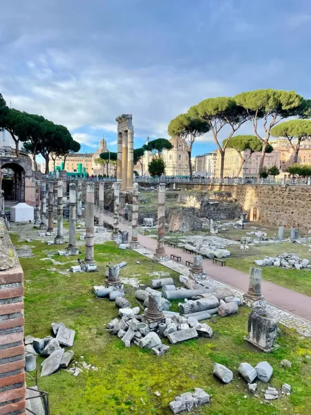 Archaeological site in Rome with numerous ancient stone columns and fragments scattered across a grassy area. Pine trees a...