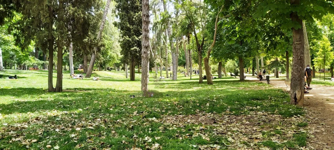 People relaxing in a lush green park.