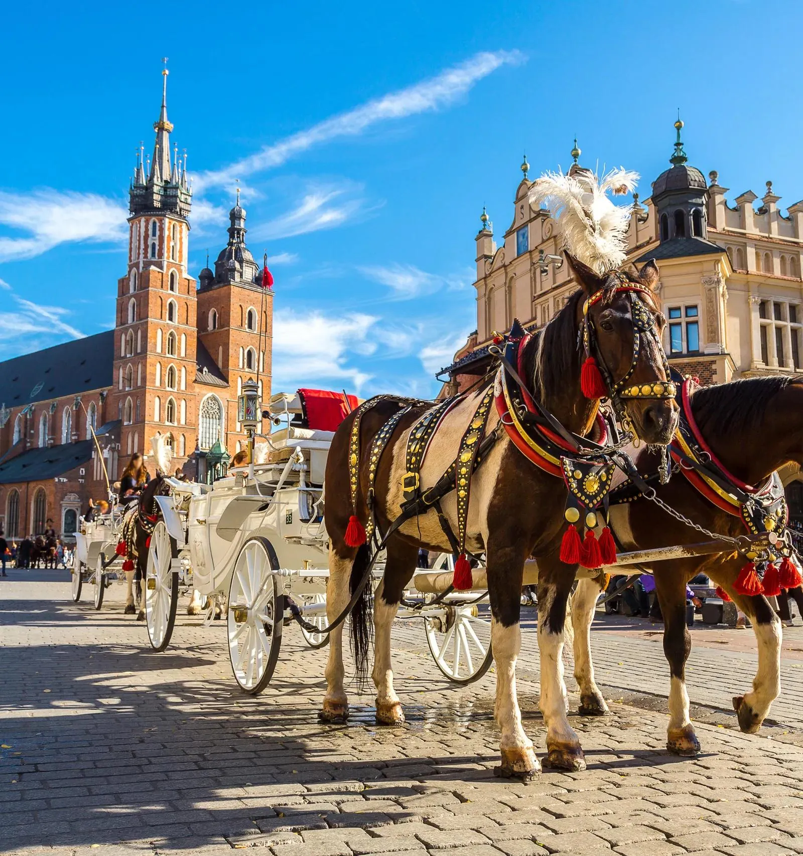 Horse-drawn carriages in Krakow's Main Market Square with St. Mary's Basilica in the background.